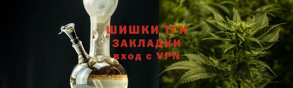 амф Верхний Тагил