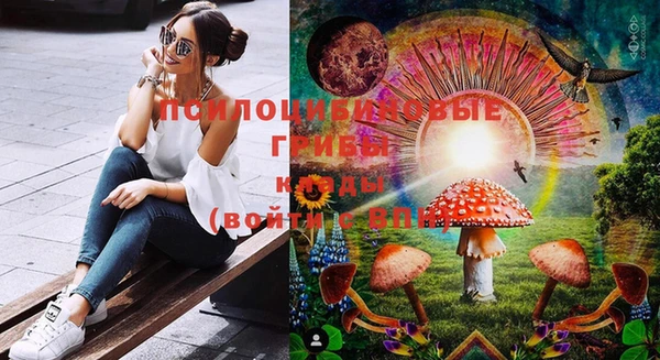 гашик Бронницы