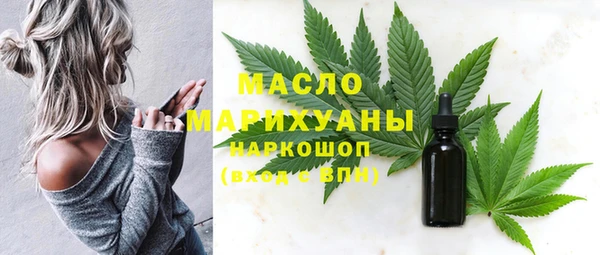 амф Верхний Тагил
