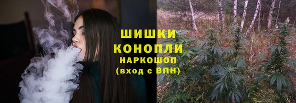 амф Верхний Тагил