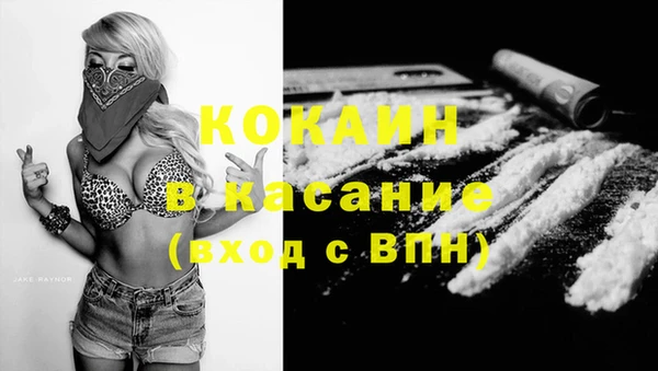 ГАЛЛЮЦИНОГЕННЫЕ ГРИБЫ Гатчина