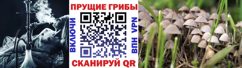 Галлюциногенные грибы ЛСД  купить наркотик  Пионерский 